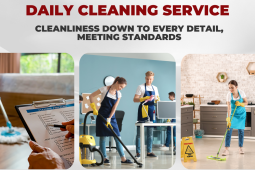 Daily cleaning service