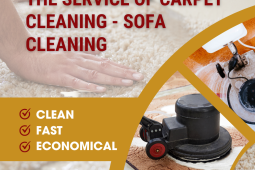 Carpet cleaning service - sofa cleaning
