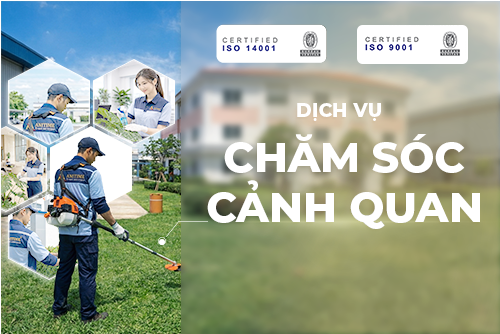 Chăm sóc cảnh quan