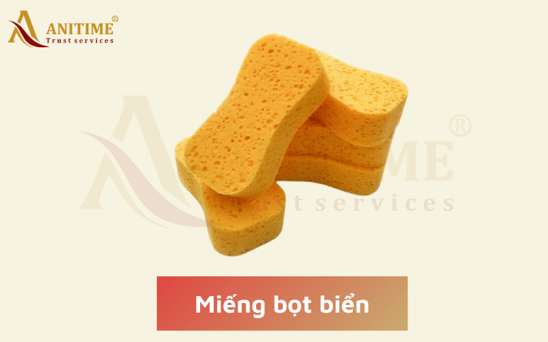 Miếng bọt biển