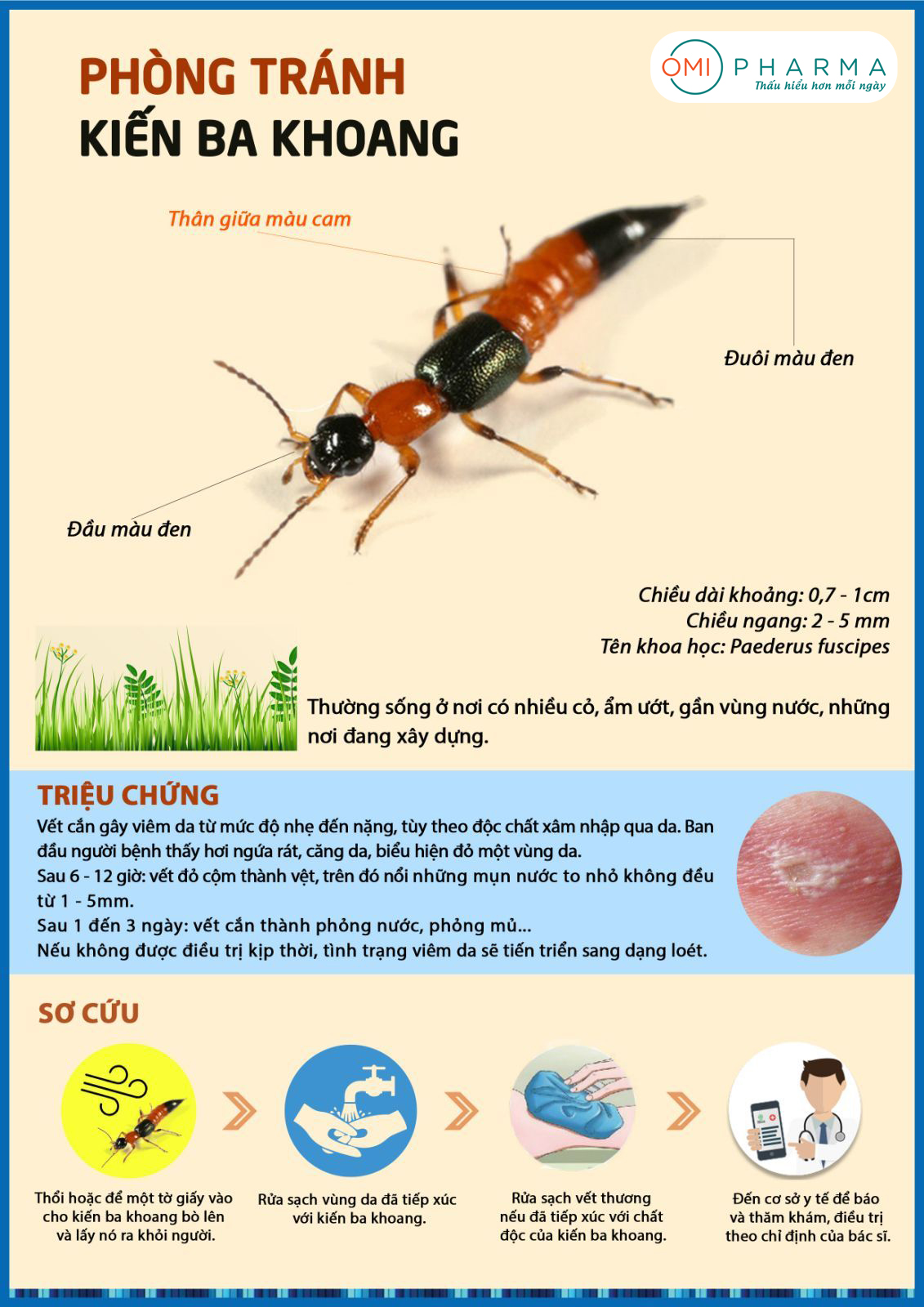 Phòng tránh kiến ba khoan cắn